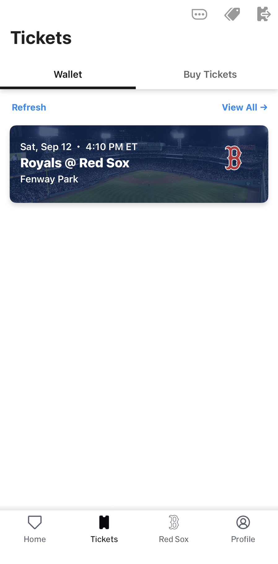 Ticket wallet card